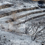 Sul Informação - Incêndios da Fóia e Porto de Lagos consumiram 400 hectares em 26 horas