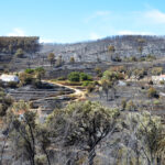 Sul Informação - Incêndios da Fóia e Porto de Lagos consumiram 400 hectares em 26 horas