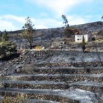 Sul Informação - Incêndios da Fóia e Porto de Lagos consumiram 400 hectares em 26 horas