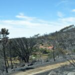 Sul Informação - Incêndios da Fóia e Porto de Lagos consumiram 400 hectares em 26 horas
