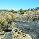 Sul Informação - Incêndios da Fóia e Porto de Lagos consumiram 400 hectares em 26 horas
