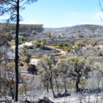 Sul Informação - Incêndios da Fóia e Porto de Lagos consumiram 400 hectares em 26 horas