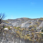 Sul Informação - Incêndios da Fóia e Porto de Lagos consumiram 400 hectares em 26 horas