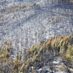 Sul Informação - Incêndios da Fóia e Porto de Lagos consumiram 400 hectares em 26 horas