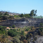 Sul Informação - Incêndios da Fóia e Porto de Lagos consumiram 400 hectares em 26 horas