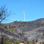 Sul Informação - Incêndios da Fóia e Porto de Lagos consumiram 400 hectares em 26 horas