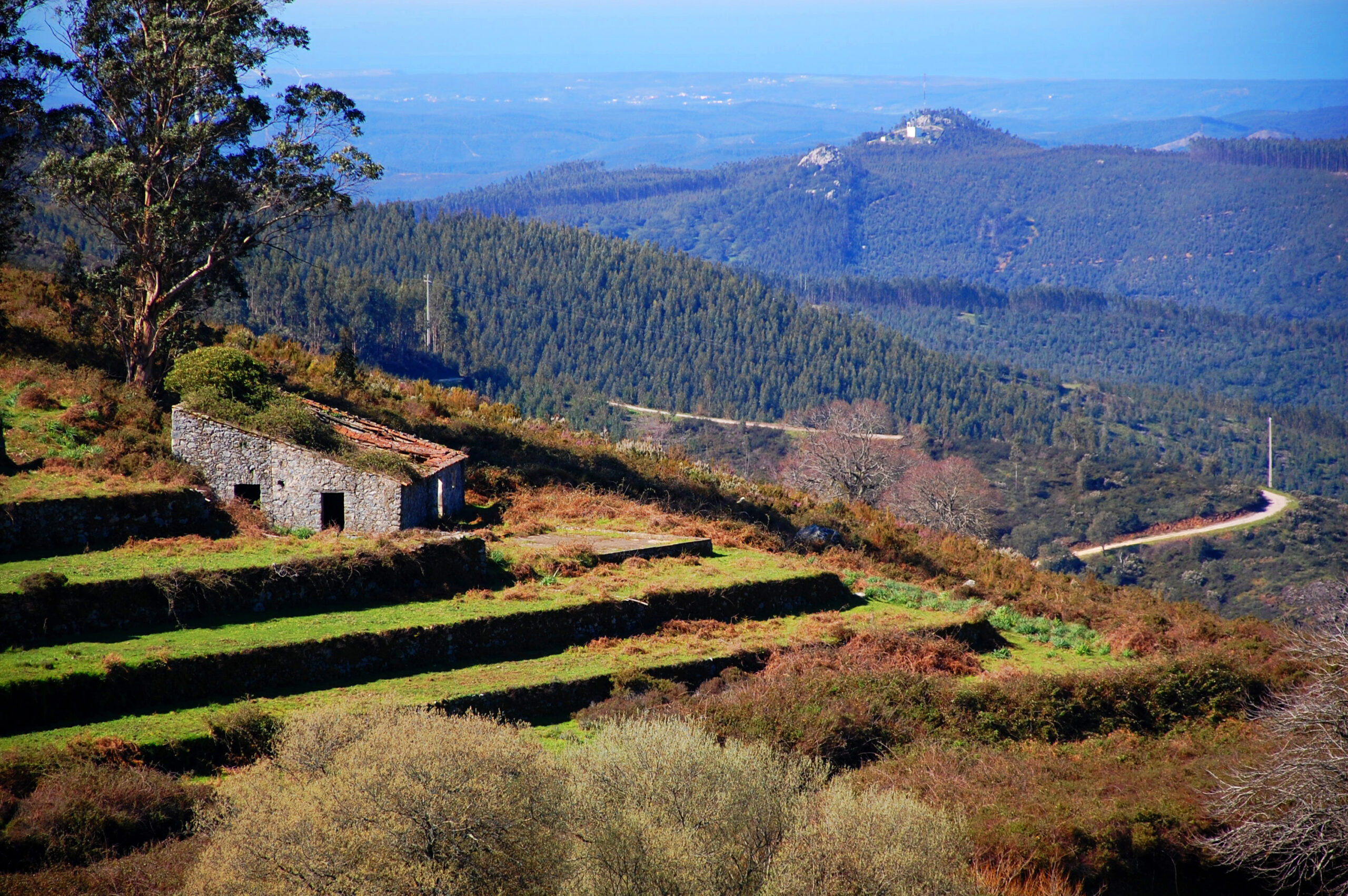 Sul Informação - Monchique recebe o 9º Encontro Regional de Voluntariado Ambiental