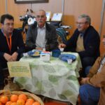 Sul Informação - Silves é a capital da Laranja por mais um dia
