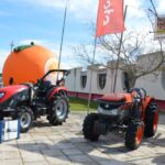 Sul Informação - Silves é a capital da Laranja por mais um dia