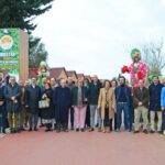 Sul Informação - Silves já é a capital da laranja do Algarve por três dias
