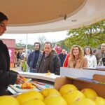 Sul Informação - Silves já é a capital da laranja do Algarve por três dias