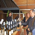 Sul Informação - Silves já é a capital da laranja do Algarve por três dias
