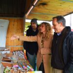 Sul Informação - Silves já é a capital da laranja do Algarve por três dias