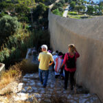 Sul Informação - Uma tarde na horta das Carmelitas, com guias turísticos, militares e outros lacobrigenses