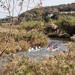 Sul Informação - Três centenas de canoístas participaram na 20ª Subida Internacional do Rio Arade