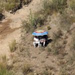 Sul Informação - Fotogaleria: Subida Impossível voltou a levar adrenalina ao Enxerim