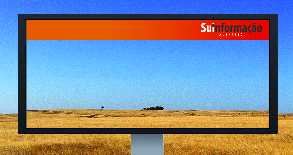 Sul Informação - Alentejo é a nova aposta do Sul Informação