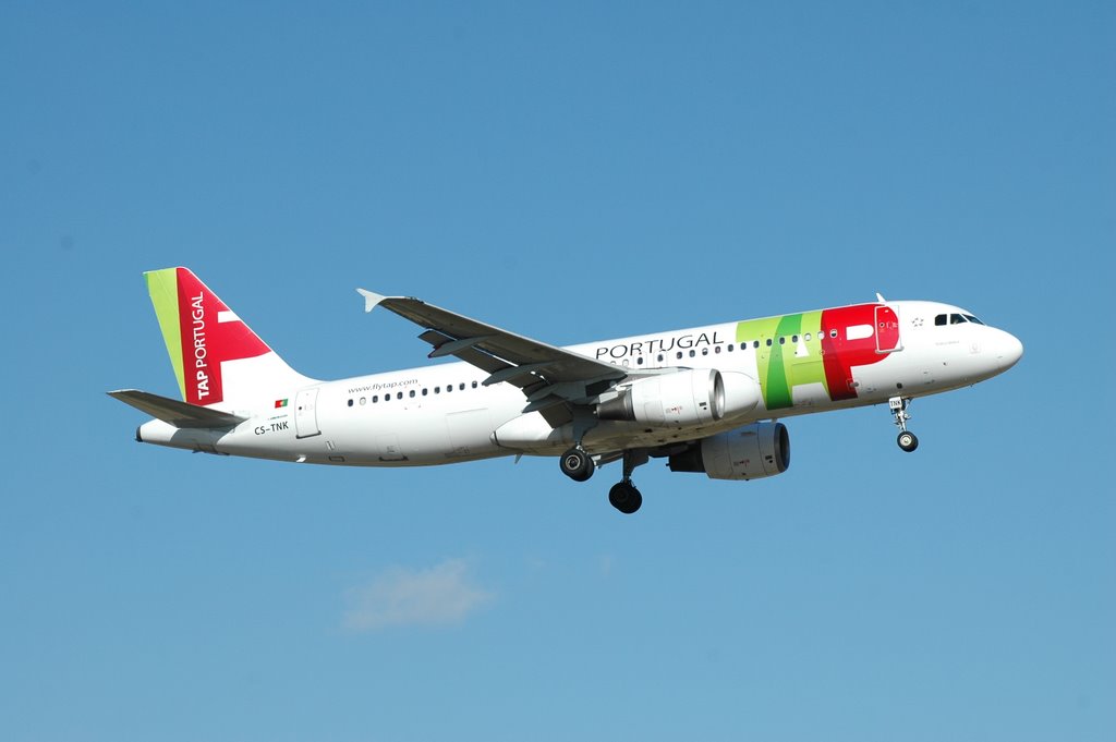 Sul Informação - TAP vai ter mais 8 voos Lisboa-Faro a partir do Verão