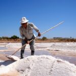 Sul Informação - Patrimónios imateriais e fotografia