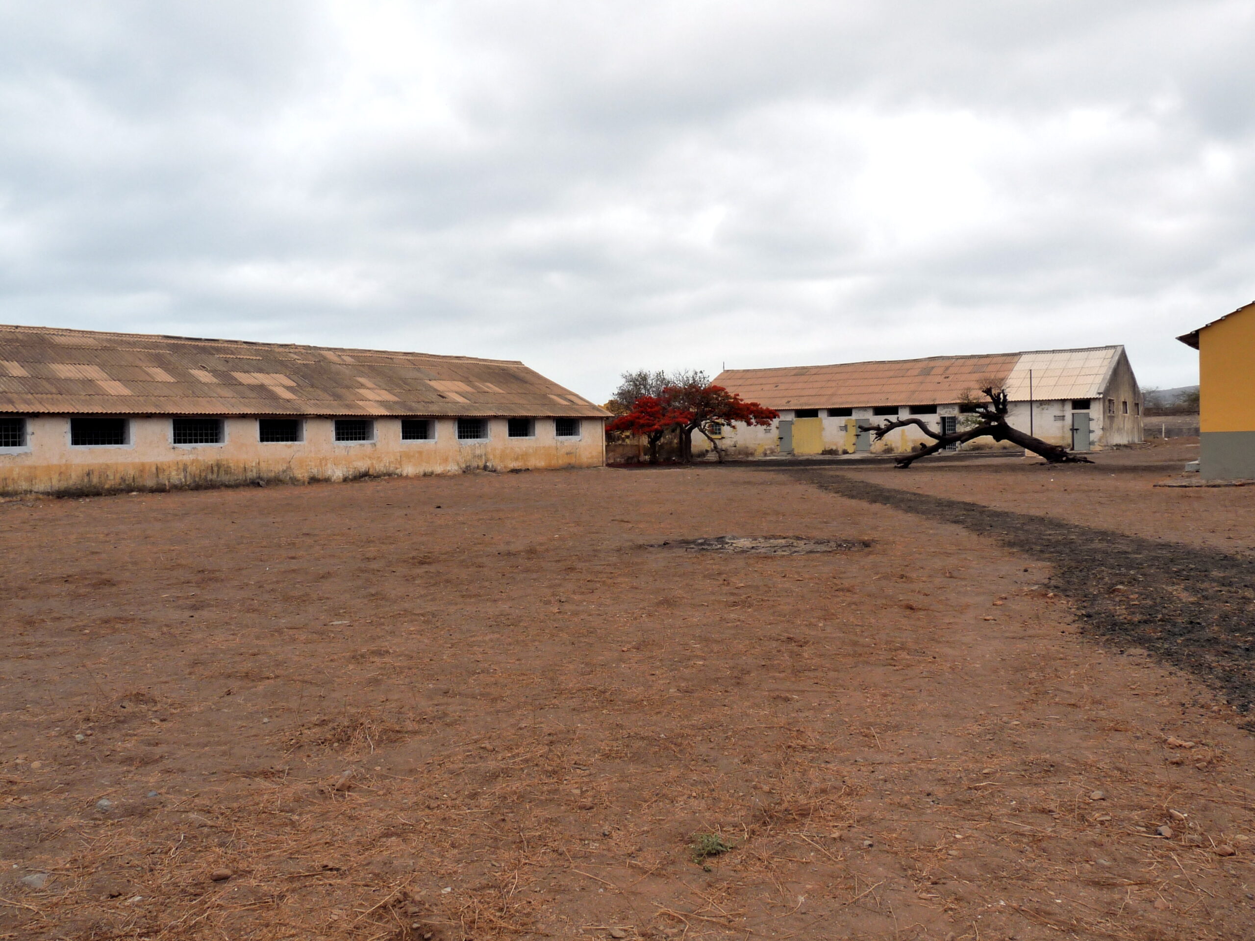 Sul Informação - “O Campo de Chão Bom”: um espetáculo sobre o Tarrafal que tem estreia nacional em Grândola