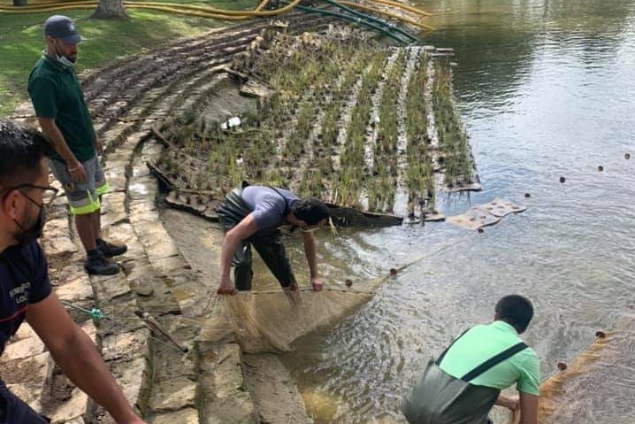 Sul Informação - Ação de voluntariado retira 48 tartarugas do Lago do Jardim das Comunidades em Almancil