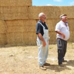 Sul Informação - A cultura é para ser comida pelas vacas? Com o Lavrar o Mar, sim!