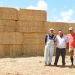 Sul Informação - A cultura é para ser comida pelas vacas? Com o Lavrar o Mar, sim!