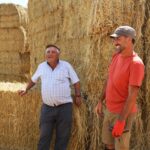 Sul Informação - A cultura é para ser comida pelas vacas? Com o Lavrar o Mar, sim!
