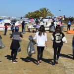 Sul Informação - Arade Azul assinala Dia Mundial das Zonas Húmidas com limpeza de lixo na ria de Alvor