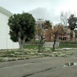 Sul Informação - Tempestade Félix levou parte do novo telhado do Pavilhão Municipal de Olhão [com fotos]