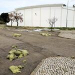 Sul Informação - Tempestade Félix levou parte do novo telhado do Pavilhão Municipal de Olhão [com fotos]