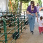 Sul Informação - Com cabras, o seu queijo e outros “amigos” se faz a Feira de Maio no Azinhal