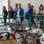 Sul Informação - Com cabras, o seu queijo e outros “amigos” se faz a Feira de Maio no Azinhal