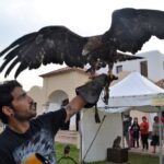 Sul Informação - Fotogaleria: Terra de Maio volta a levar ao Azinhal saberes, sabores e animação
