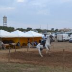 Sul Informação - Fotogaleria: Terra de Maio volta a levar ao Azinhal saberes, sabores e animação