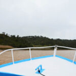 Sul Informação - O festival que tem música, património e biodiversidade esteve na terra do rio duas vezes rio