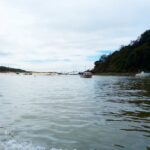 Sul Informação - O festival que tem música, património e biodiversidade esteve na terra do rio duas vezes rio