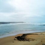 Sul Informação - O festival que tem música, património e biodiversidade esteve na terra do rio duas vezes rio