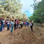 Sul Informação - Odemira recebeu o Terras sem Sombra, o festival que se mantém «fiel às raízes»