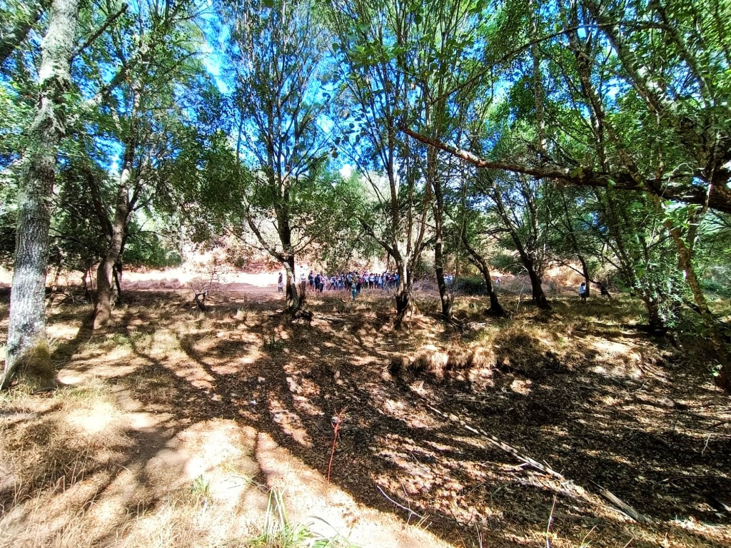 Sul Informação - Odemira recebeu o Terras sem Sombra, o festival que se mantém «fiel às raízes»