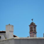 Sul Informação - Odemira recebeu o Terras sem Sombra, o festival que se mantém «fiel às raízes»