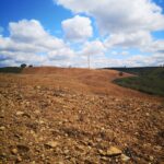 Sul Informação - Limpeza de terrenos para prevenir incêndios já começou nas Terras do Infante
