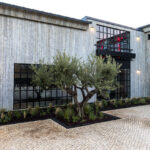 Sul Informação - Quinta do Lago inaugura centro de alto rendimento para equipas de elite (e não só)