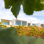 Sul Informação - Quinta dos Vales inaugura adega para Private Winemakers