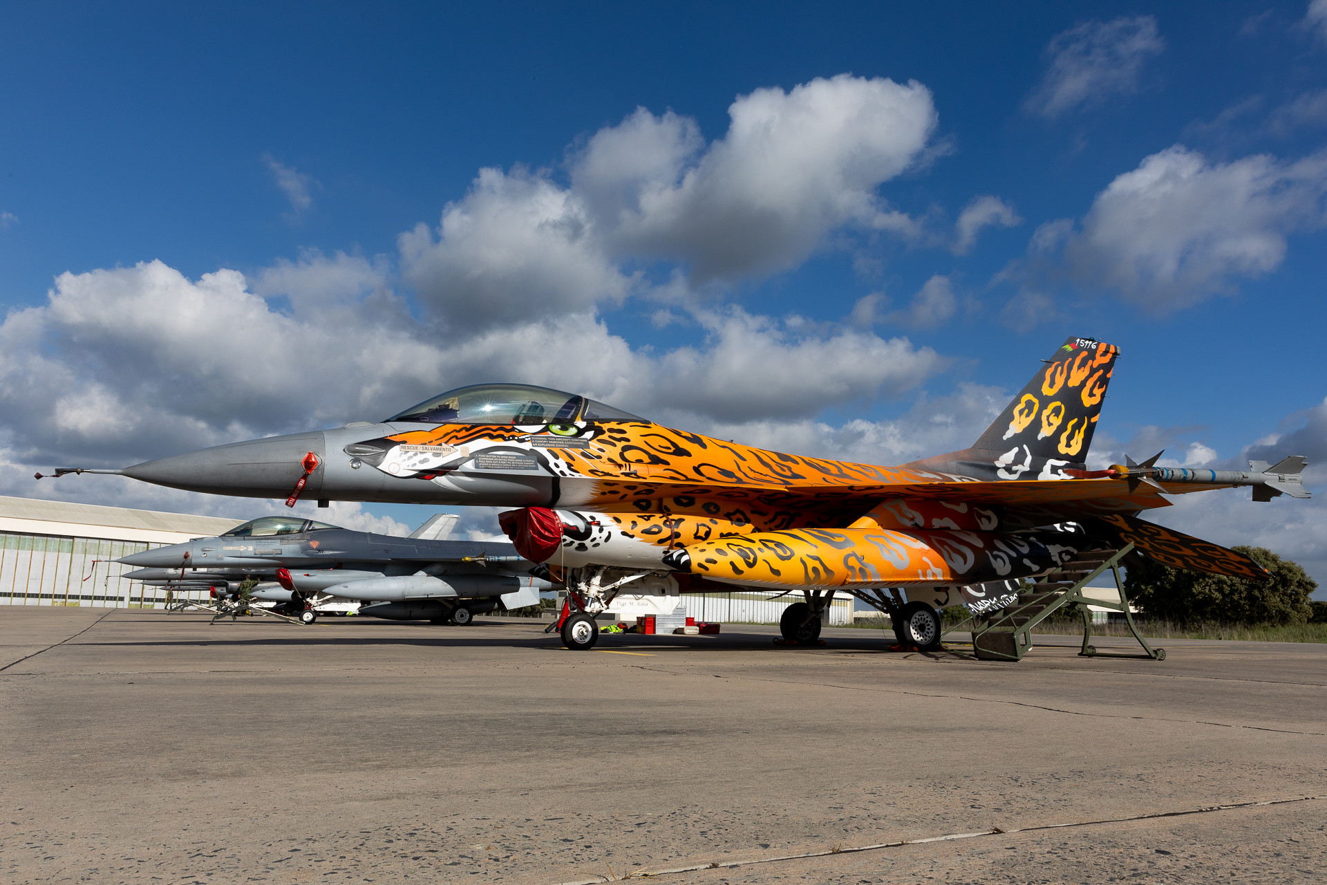 Sul Informação - Força Aérea organiza exercício NATO Tiger Meet 2021 na Base Aérea de Beja