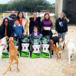 Sul Informação - Timing fortalece aposta na responsabilidade social apoiando projeto Bolsas AAUAlg+