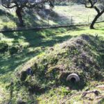Sul Informação - Terras sem Sombra levou o seu público à descoberta do Rio Ardila e do Castelo de Noudar