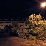 Sul Informação - Olhão: Vento forte provoca danos no Pavilhão Municipal e danifica viaturas (com fotos)