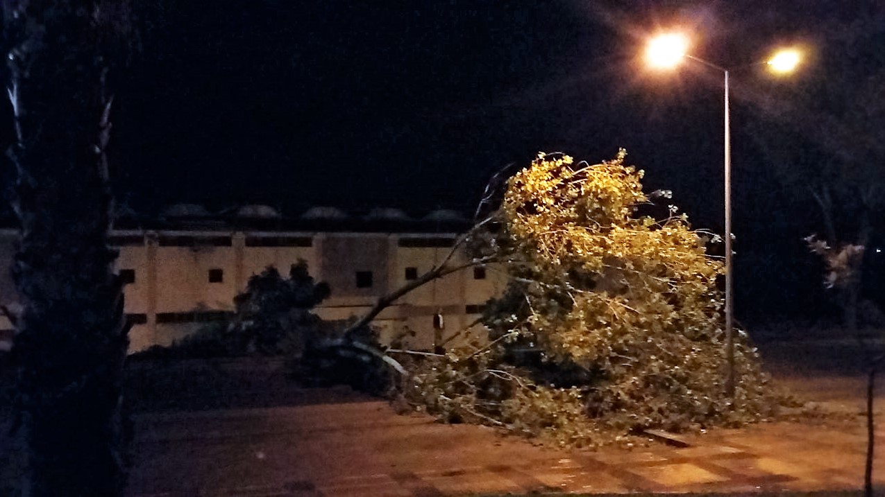 Sul Informação - Olhão: Vento forte provoca danos no Pavilhão Municipal e danifica viaturas (com fotos)