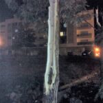 Sul Informação - Olhão: Vento forte provoca danos no Pavilhão Municipal e danifica viaturas (com fotos)